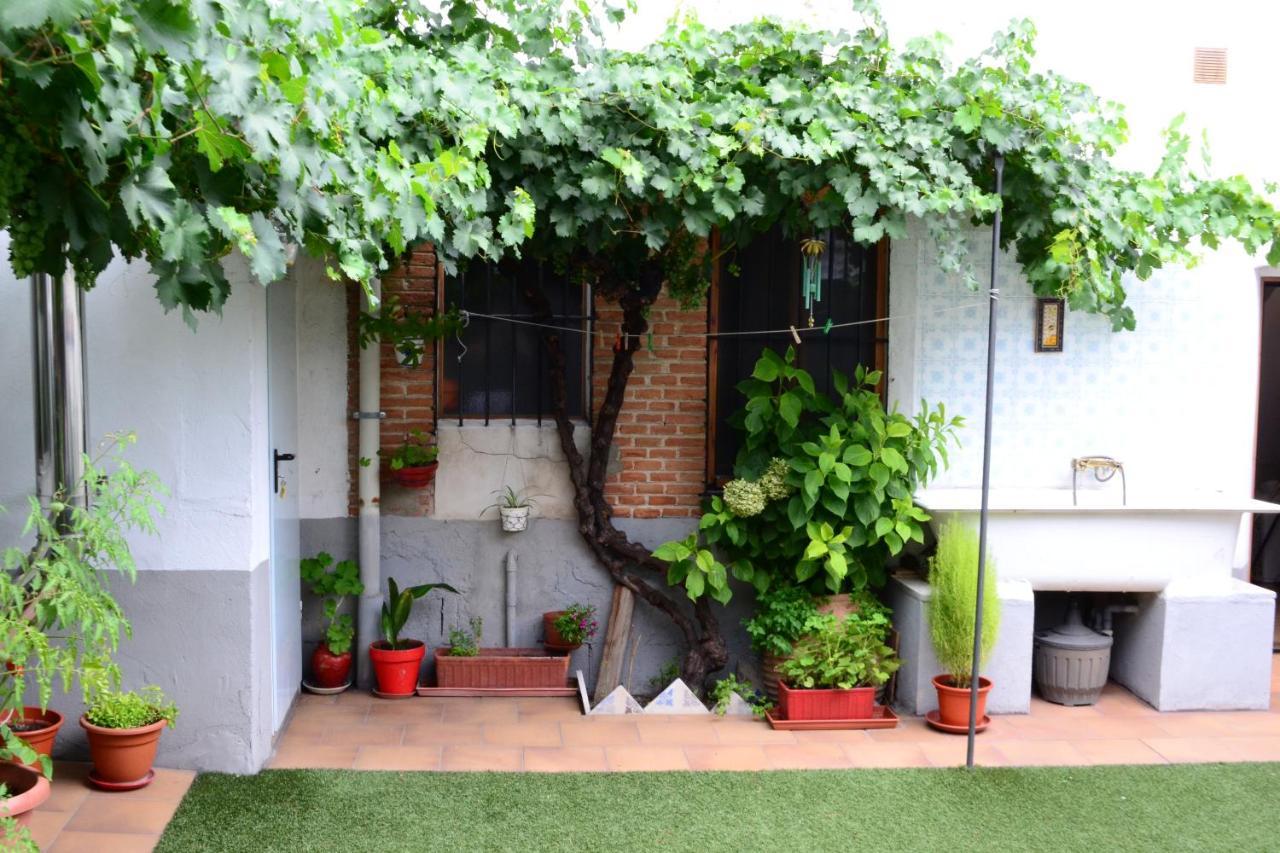 La Cantina De Daniel Chatun Ngoại thất bức ảnh